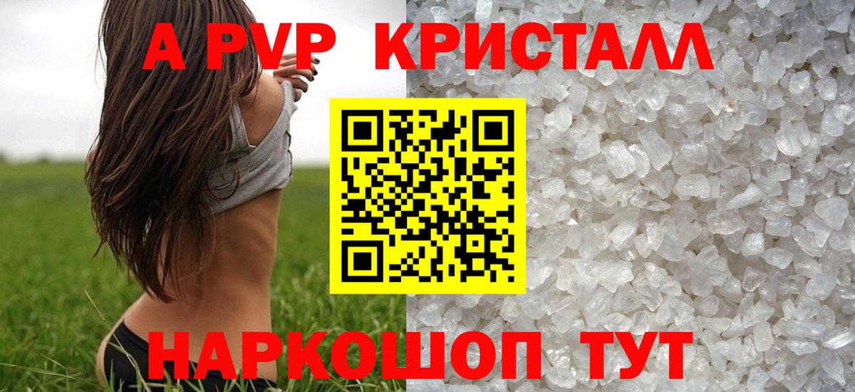 A PVP крисы CK Курск