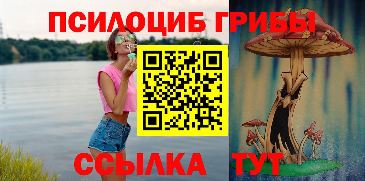 Курск  как найти закладки  Вход с VPN  Галлюциногенные грибы Psilocybine cubensis 